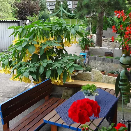 게스트하우스 Ilmhofpension