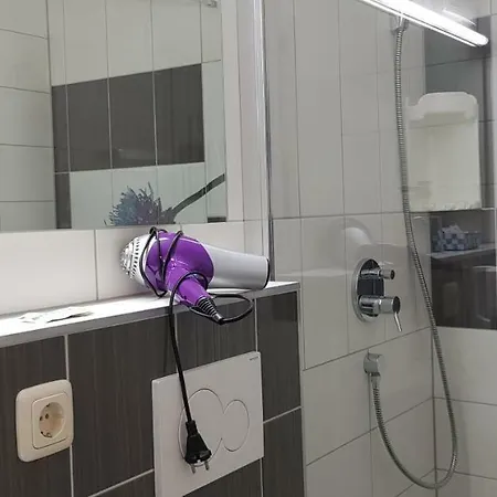 Ilmhofpension 게스트하우스