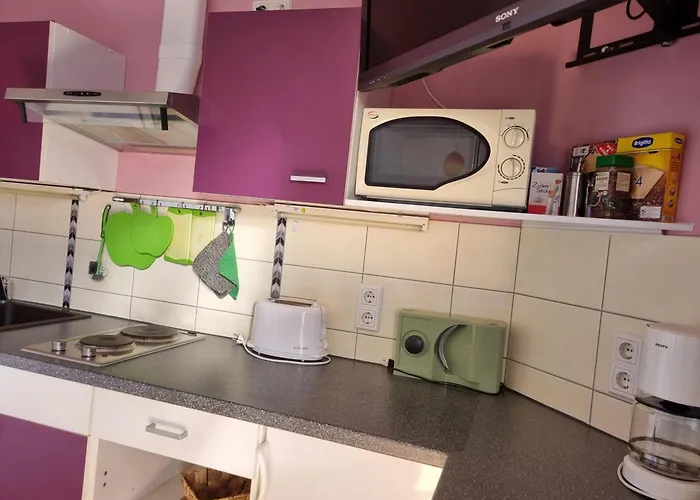 Gasthuis Ilmhofpension Bad Berka