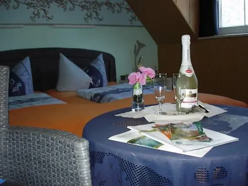 Gasthuis Ilmhofpension