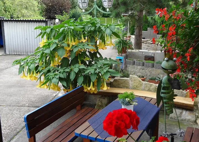 Gasthuis Ilmhofpension