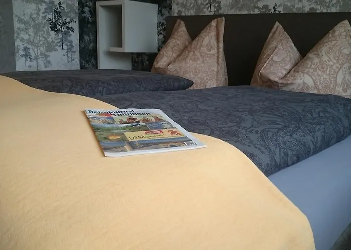 Gasthuis Ilmhofpension Bad Berka