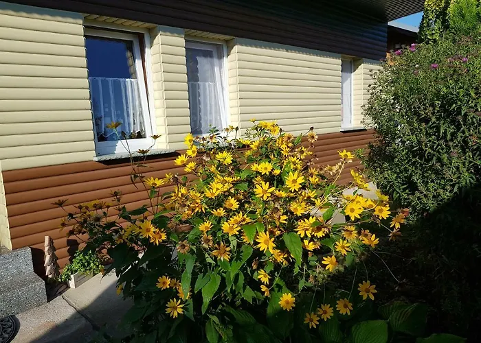 Ilmhofpension Gasthuis Bad Berka